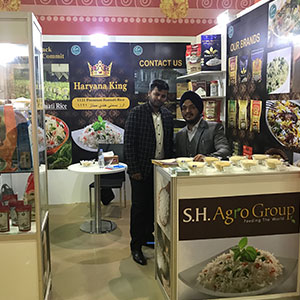 exhibition of SK Exports