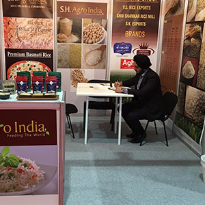 exhibition of SK Exports